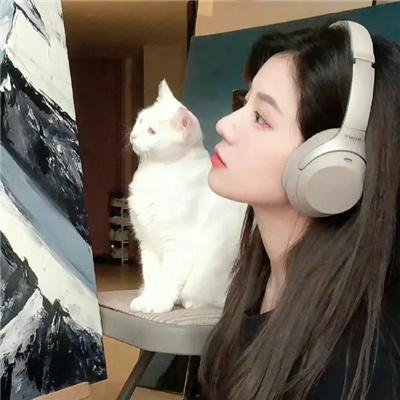 内华达搜熊犬